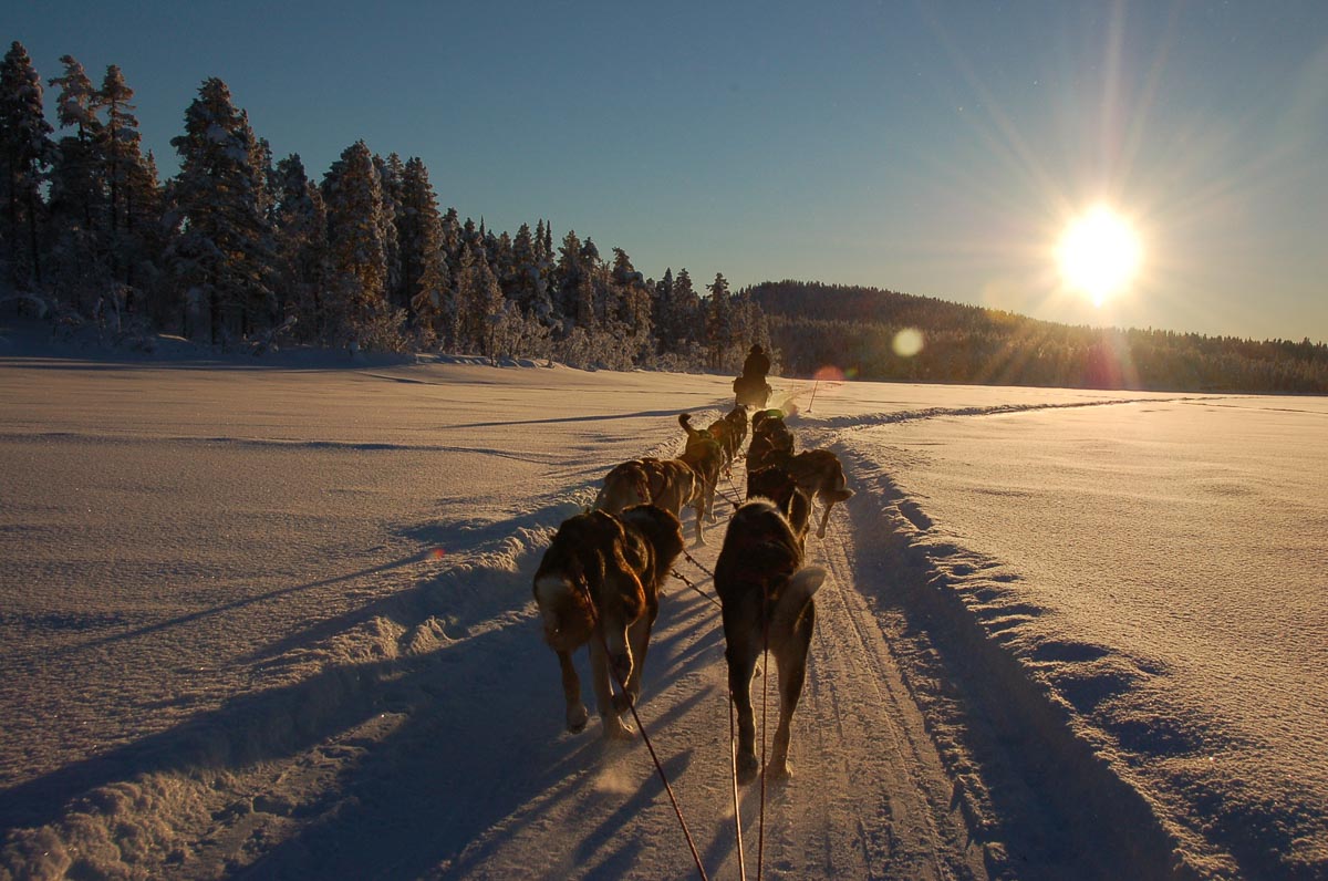 21 Most Beautiful Countries in Europe (2022) for your Bucket List 30 huskies in northern sweden