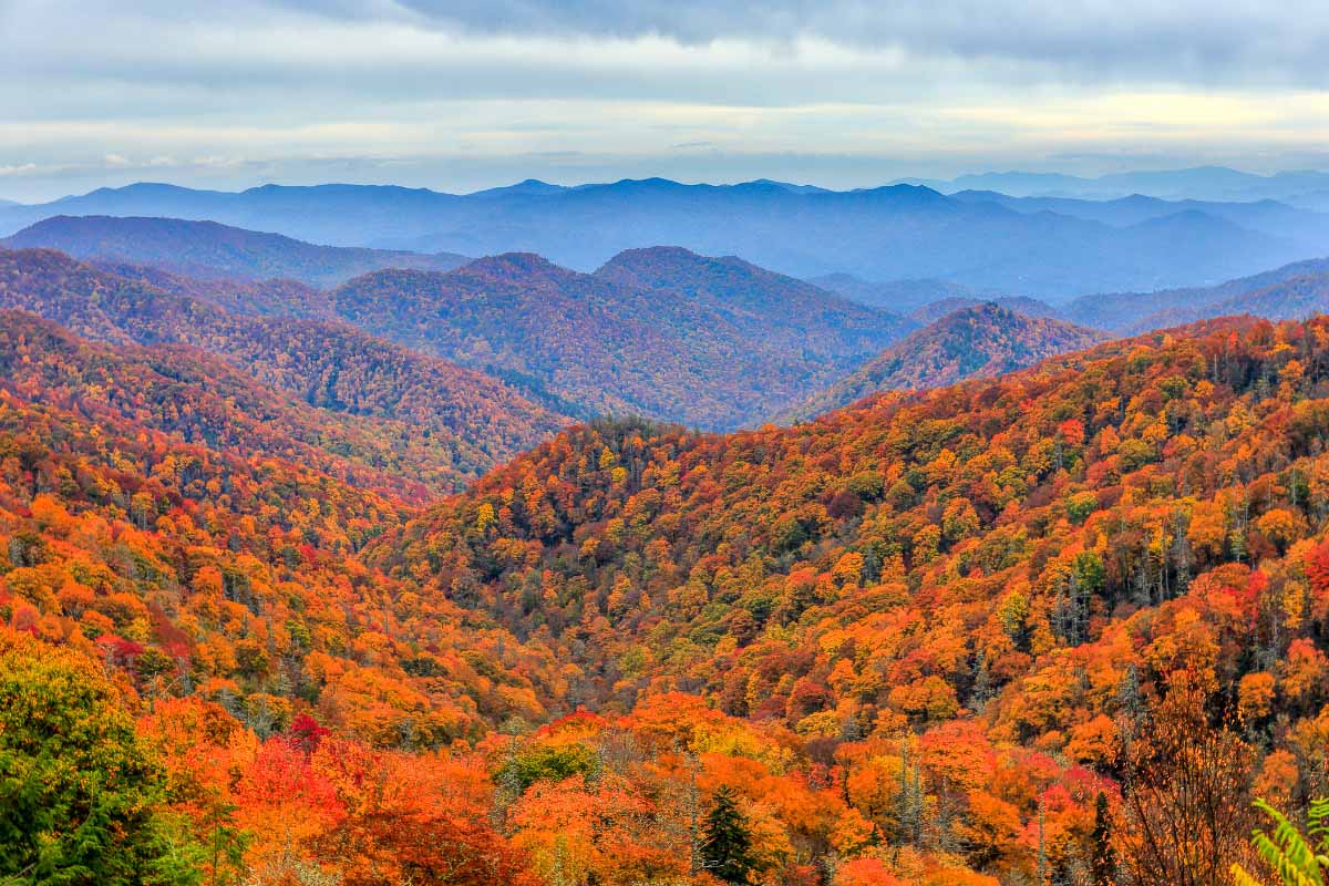 9 Best National Parks On The East Coast Of The United States (2023) 16 smoky mountain national park tennessee