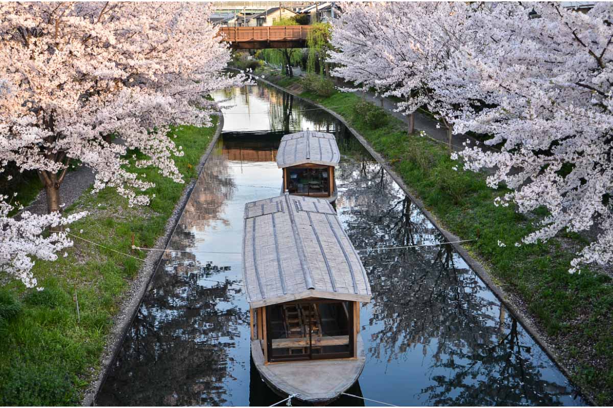 What is Japan Famous For? 31 Japanese Claims to Fame 2 canal boat in japan framed by cherry blossoms