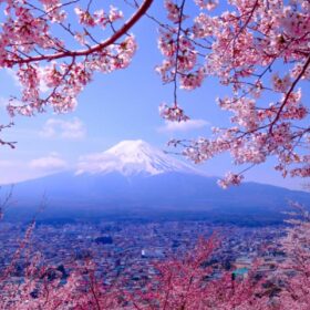 Vacations for Over 50 Singles (2022): How and Where to Travel 16 what is japan famous for cherry blossoms and mount fuji