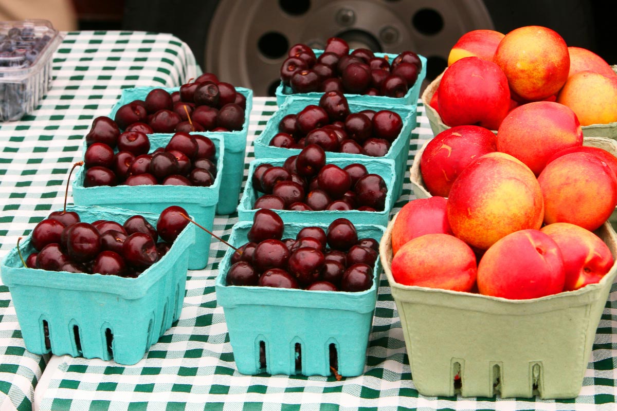 15 Best Cherry Picking in Michigan Farms (2022) U Pick and Orchards 4 punnets of cherries and peaches