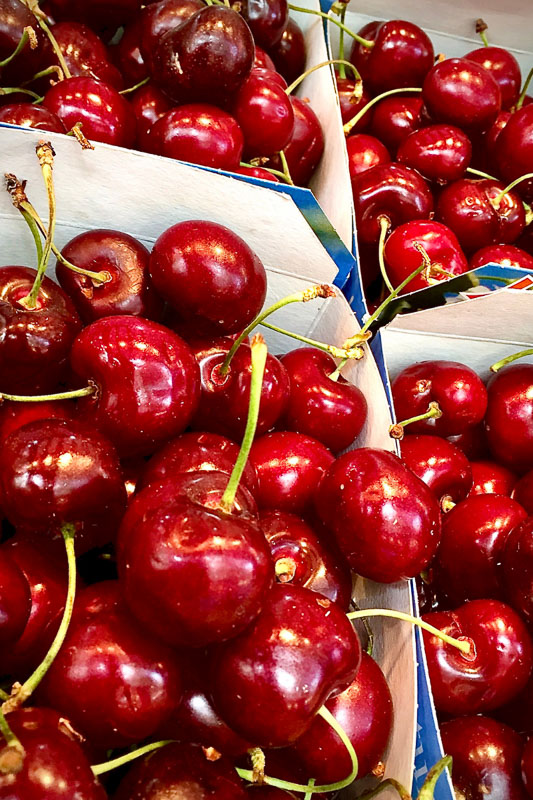 15 Best Cherry Picking in Michigan Farms (2022) U Pick and Orchards 3 punnets of cherries in michigan