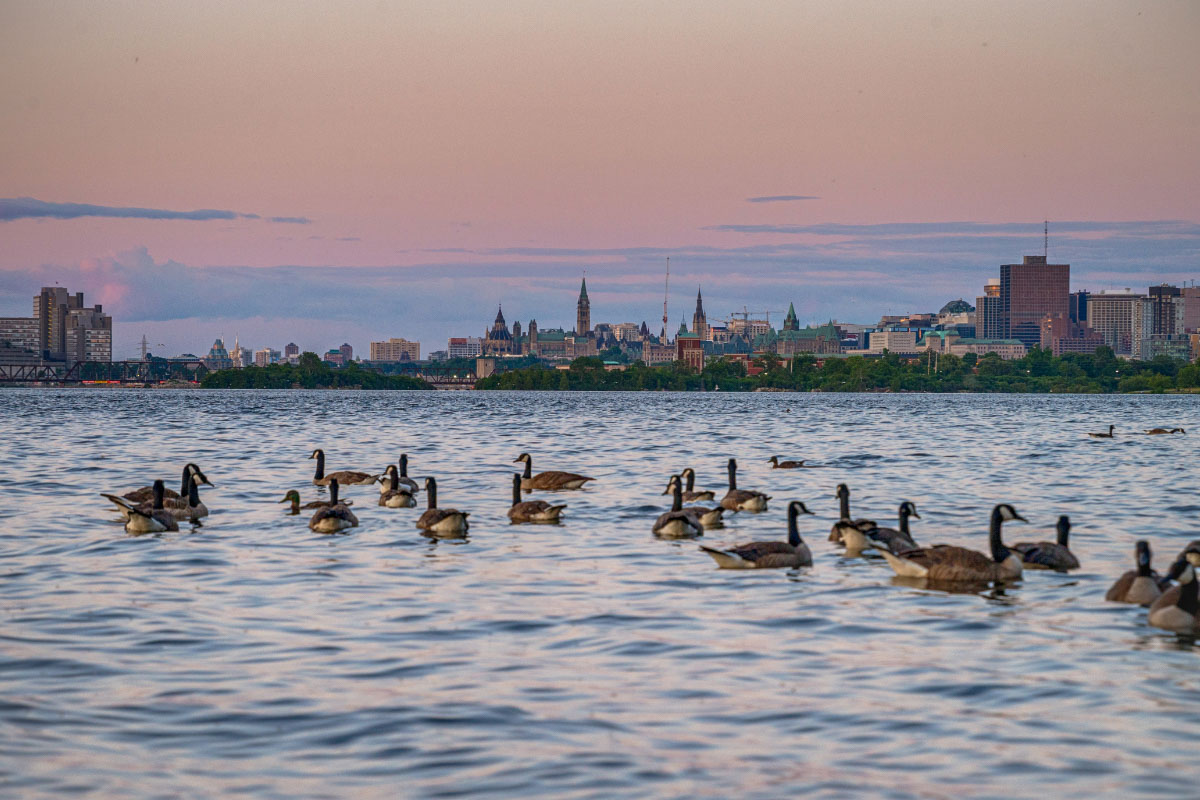 21 Best Places to Watch the Sunset Ottawa Style 9 Bate Island ottawa