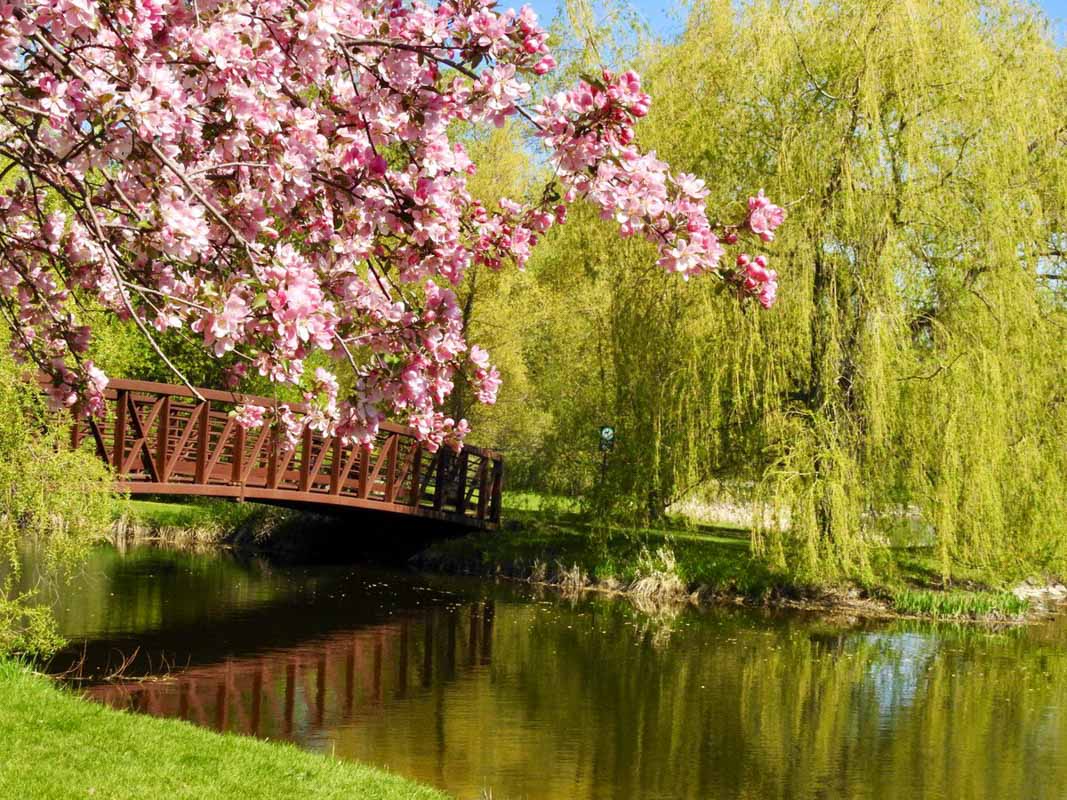 21 Best Places to Watch the Sunset Ottawa Style 3 arboretum ottawa