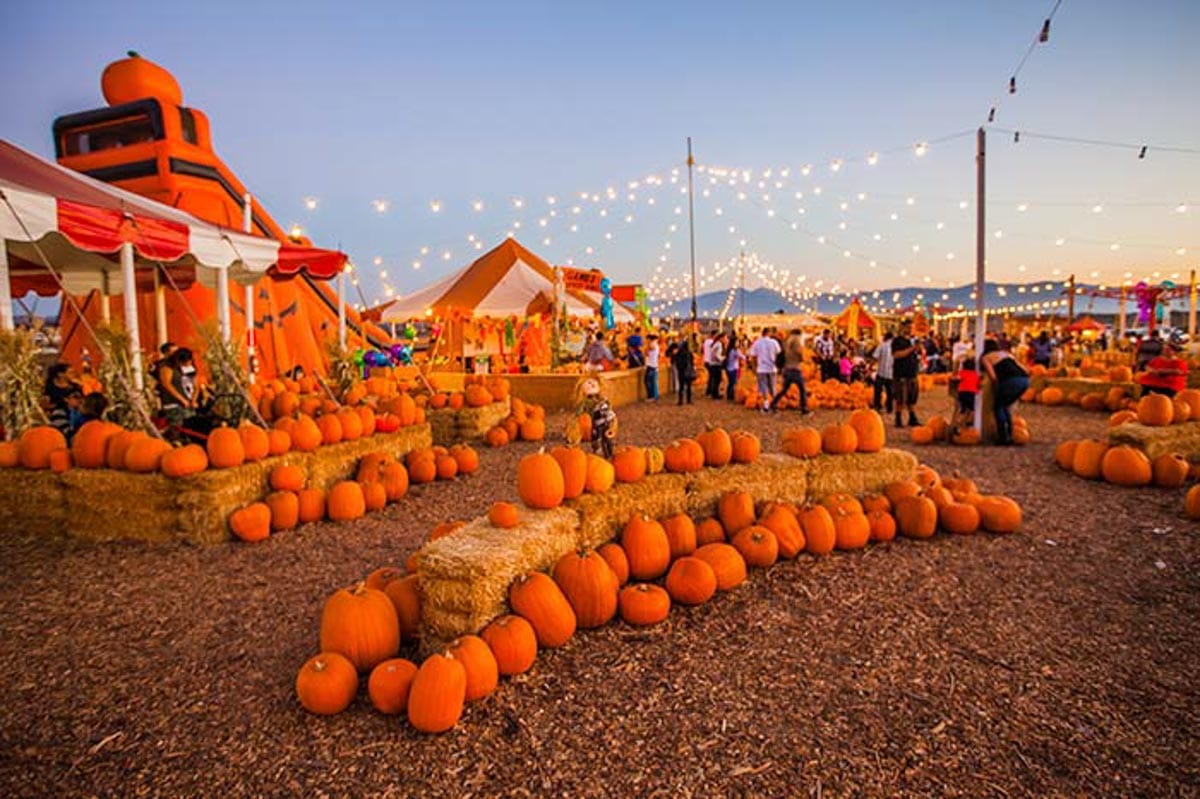 pumpkin patch rainbow and warm springs