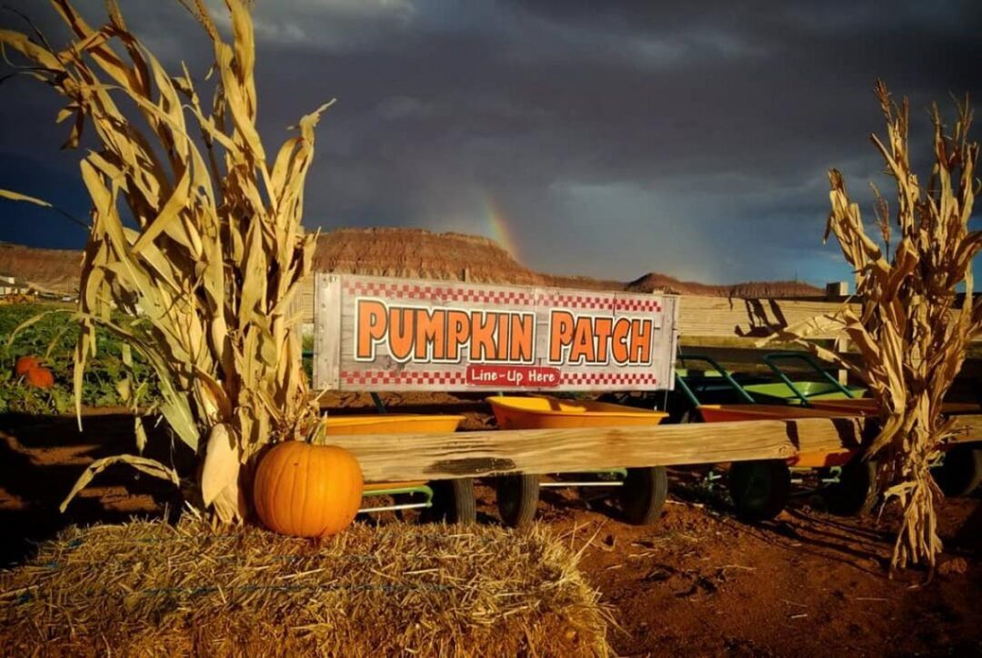 9 Best Pumpkin Patches in Las Vegas (2022) You'll Love I Boutique