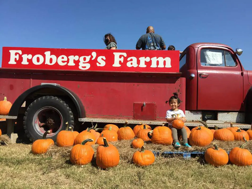 pumpkin patch in spring tx