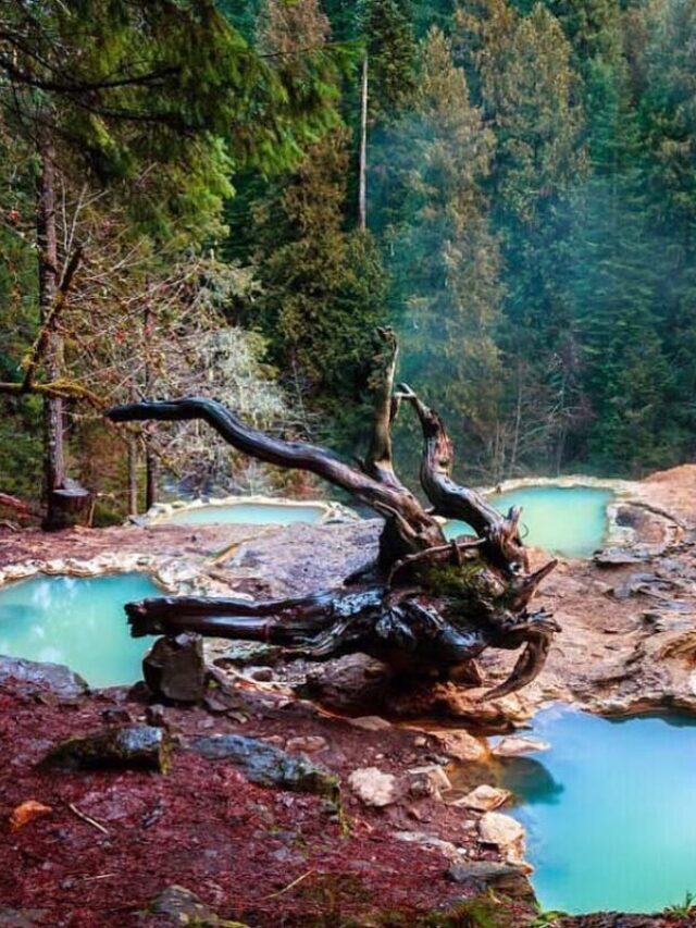 13 Hot Springs Oregon for Soaking in Nature Story