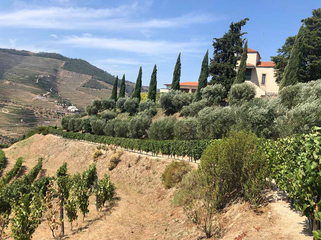 15 Fantastic Vineyards in Portugal (2022) You'll Love 14 douro valley sandman view and estate