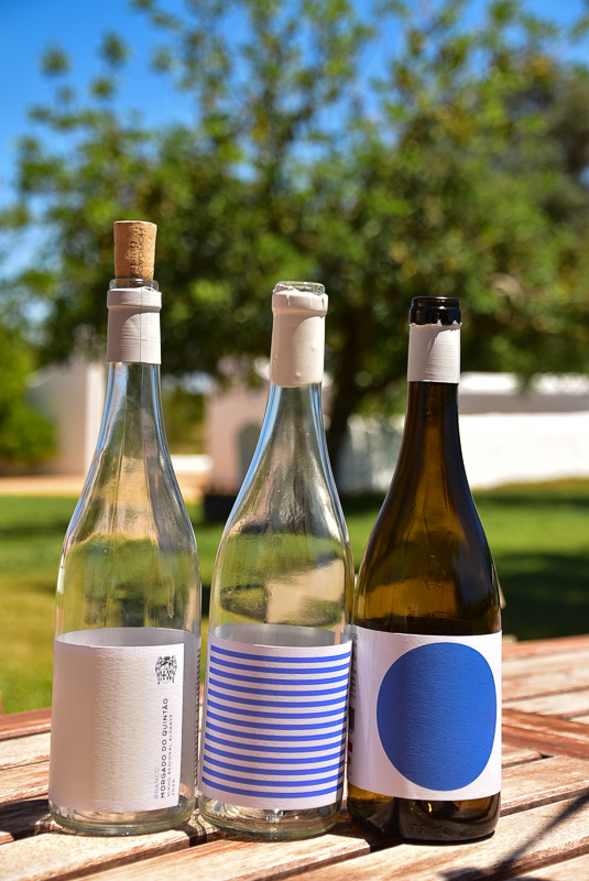 15 Fantastic Vineyards in Portugal (2022) You'll Love 37 morgado do quintao algarve portugal bottles of wine