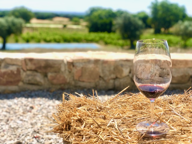 15 Fantastic Vineyards in Portugal (2022) You'll Love 30 red wine at fitapreta