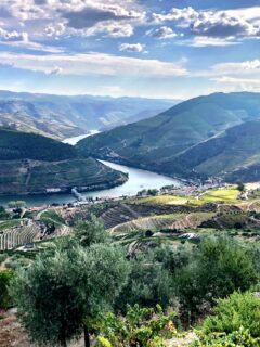 view over the douro valley 2