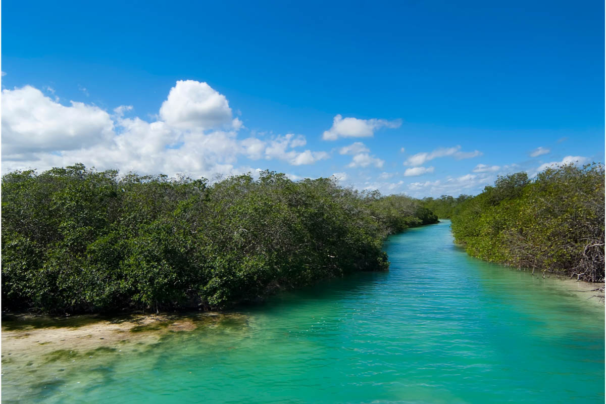 33 Things to Do In Tulum (2022) | Guide to Mexico’s Yucatan Paradise 5 Sian Ka’an Biosphere Reserve