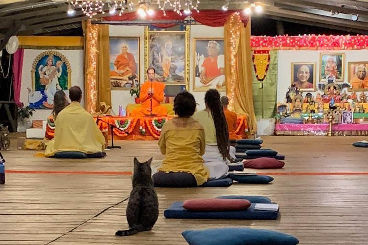 9 Great All-Inclusive Vacations for Singles Over 50 (2022) You'll Love 23 Sivananda Ashram Yoga Retreat - Bahamas yoga