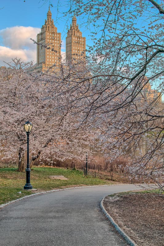 19 Historical Places in New York You Need to Visit (2022) 23 central park historical places in new york