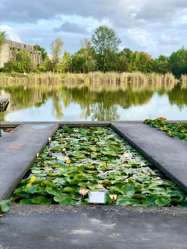 35 Things to do in Bordeaux You'll Love 45 jardin botanique