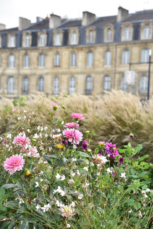 35 Things to do in Bordeaux You'll Love 39 la bourse and flowers