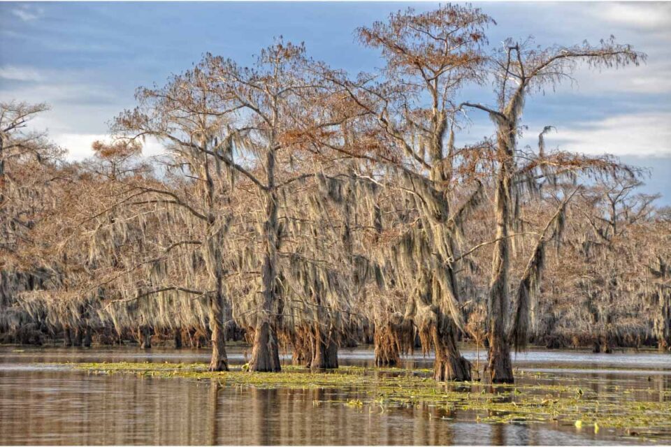 21 Awesome Things To Do In East Texas 2022 I Boutique Adventurer 21 Awesome Things To Do In East Texas 2022 I Boutique Adventurer