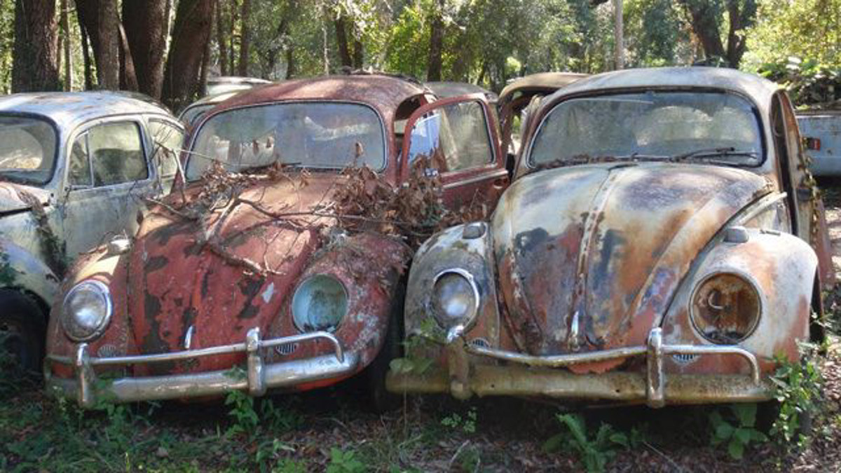 Florida Volkswagen Graveyard