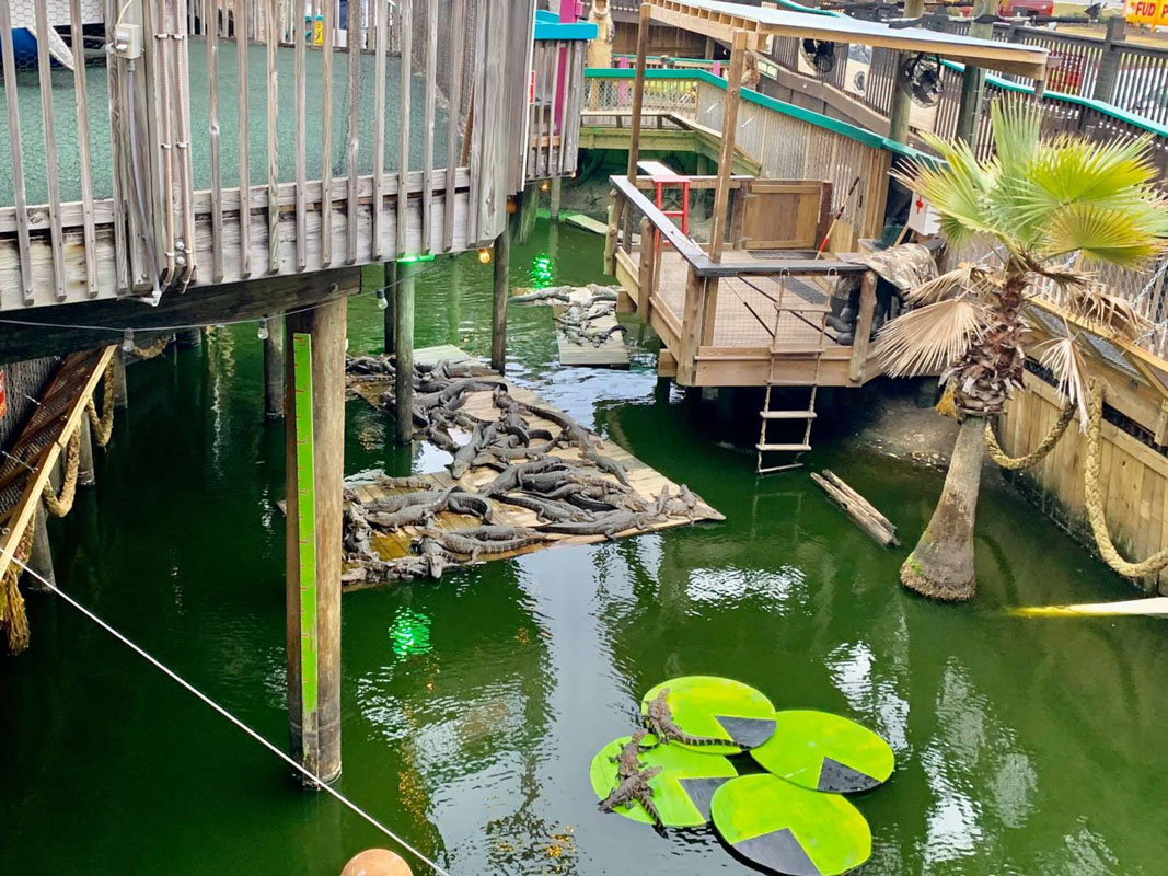 33 Great Things to Do in Destin Florida You'll Love 5 Gator Beach destin florida