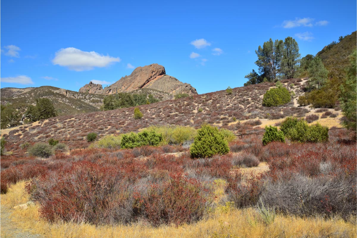 27 Best Weekend Trips From San Francisco (2022) for a Terrific Getaway 32 Pinnacles National Park