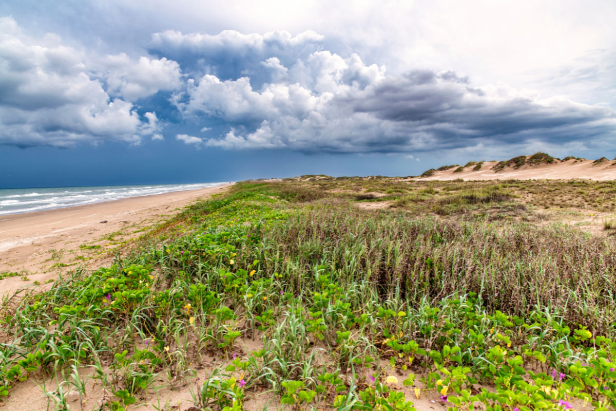 36 Warm Winter Getaways in the USA (2023) You'll Love 47 South Padre Island