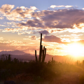 saguaro park west sunset