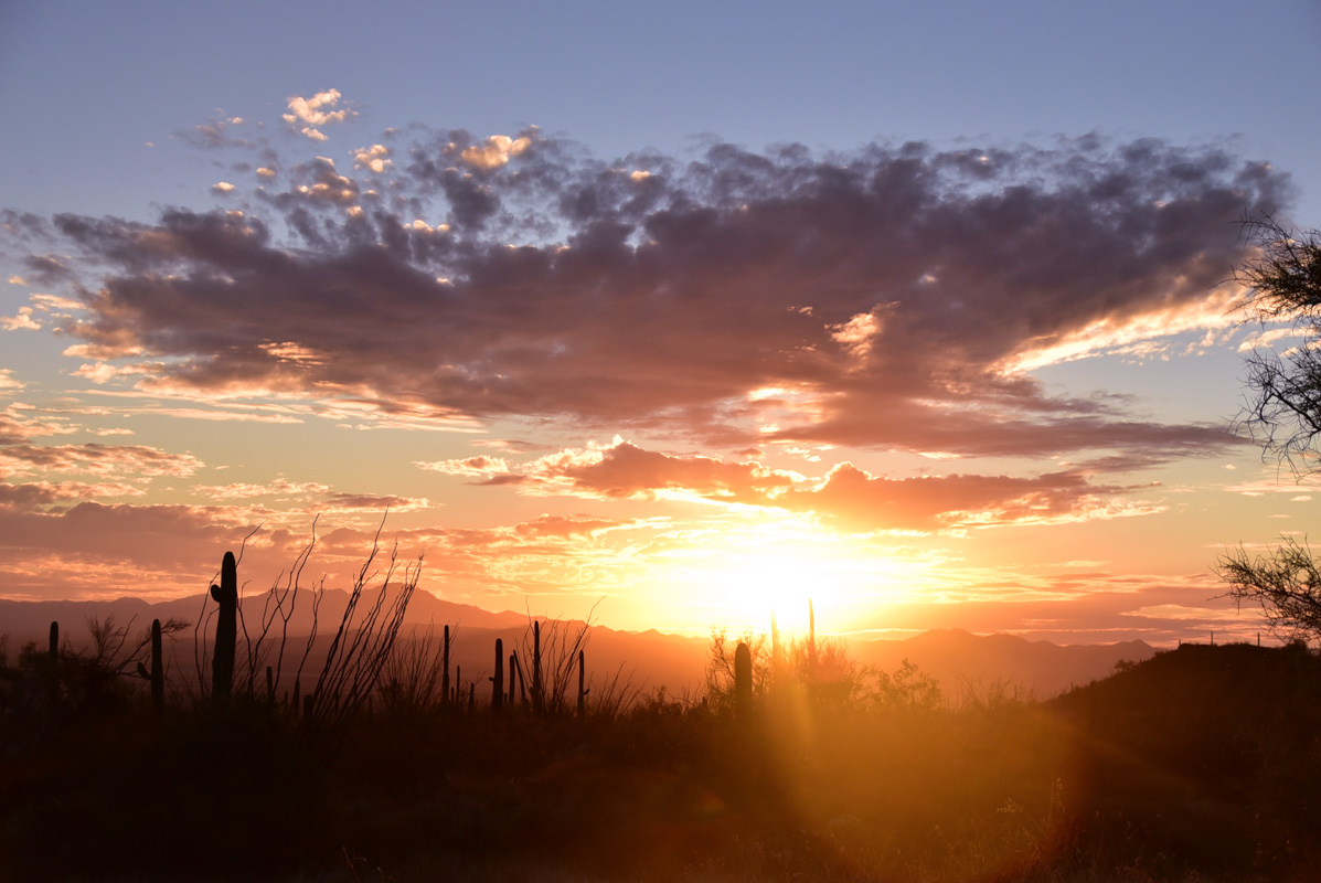 saguaro park west sunset