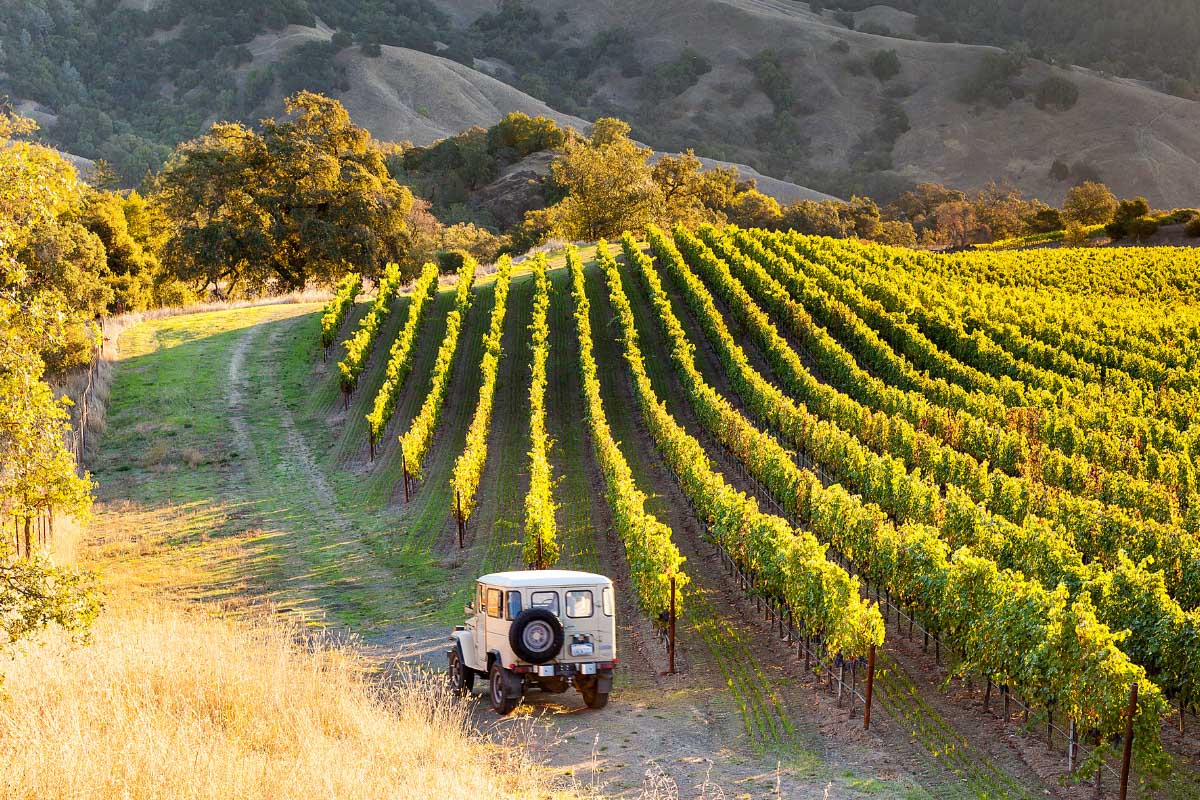 27 Most Romantic Cities in the United States (2022) 6 sonoma county vineyards