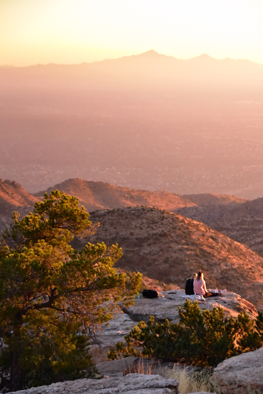 11 Best Places to See the Sunset in Tucson (2022) 13 windy point vista
