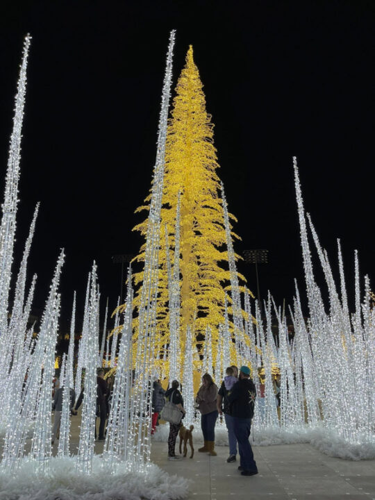 21 Fantastic Things to Do in Vegas in December (2022) You'll Love I