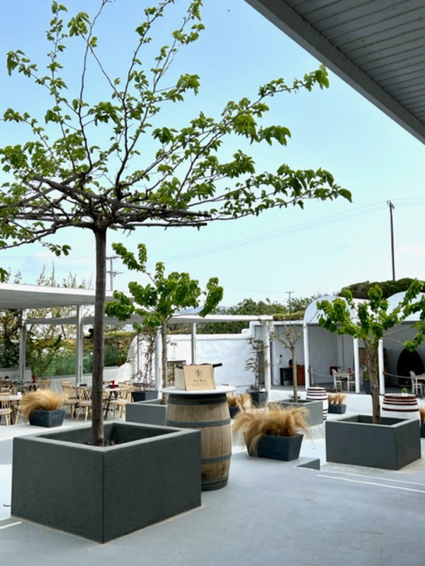 Anhydrous Winery courtyard