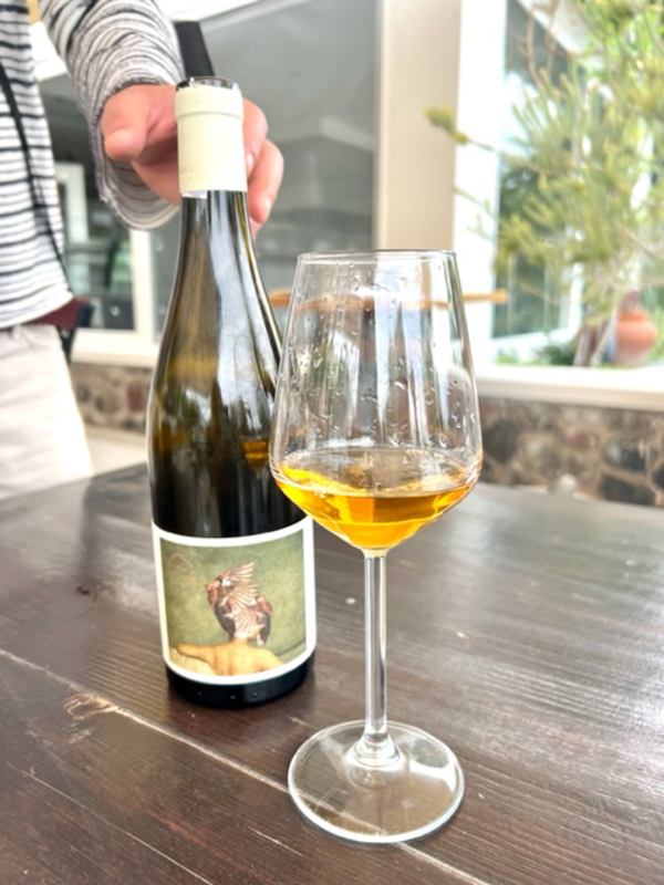 7 Fantastic Wineries on Santorini (2022) You'll Love 40 Artemis Karamolegos orange wine.