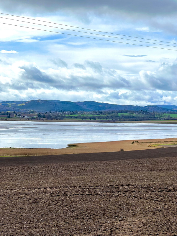 Beauly Firth
