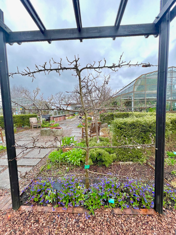 26 Top Things to do in Inverness (2022) You'll Love 13 Inverness Botanical Gardens