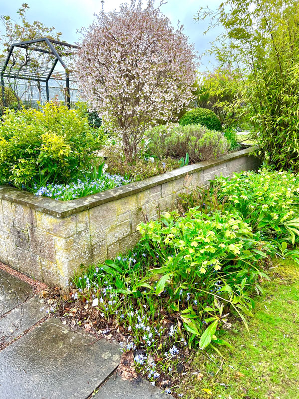 26 Top Things to do in Inverness (2022) You'll Love 14 Inverness Botanical Gardens