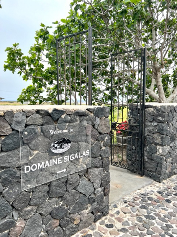 7 Fantastic Wineries on Santorini (2022) You'll Love 42 domaine sigalas entrance