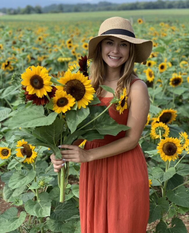 13 Texas Sunflower Fields (2022) I Farms and Gardens You'll Love 11 Western Belle Farm