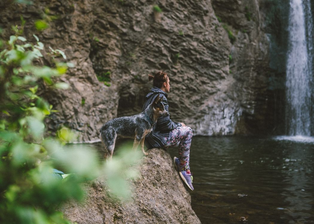 dog-at-waterfall