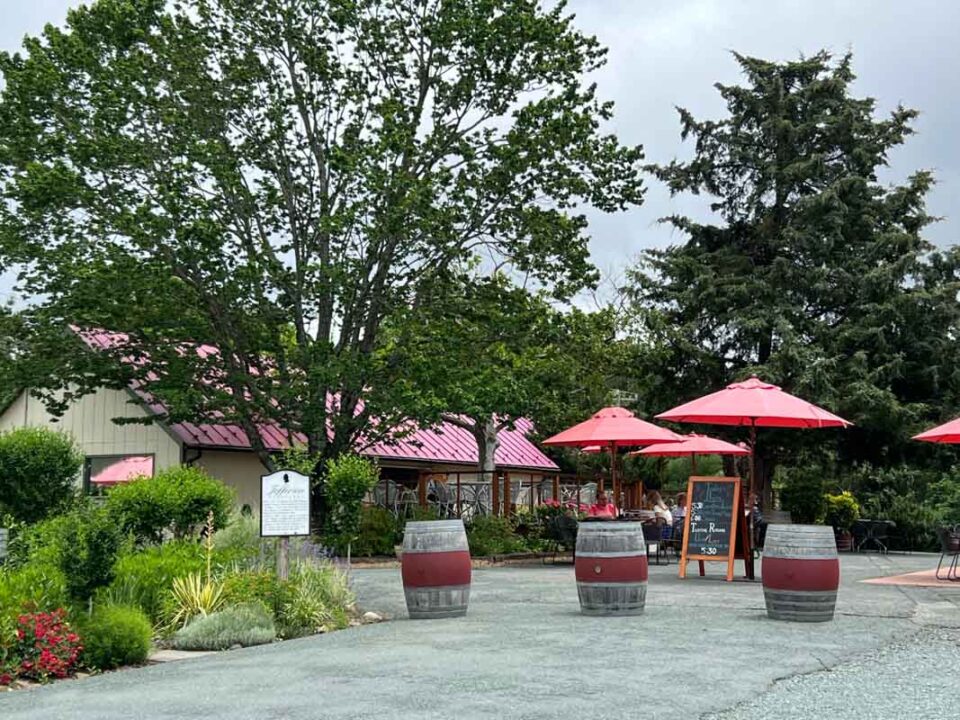 15 Wineries in Charlottesville VA (2022) You'll Love I Monticello Wine