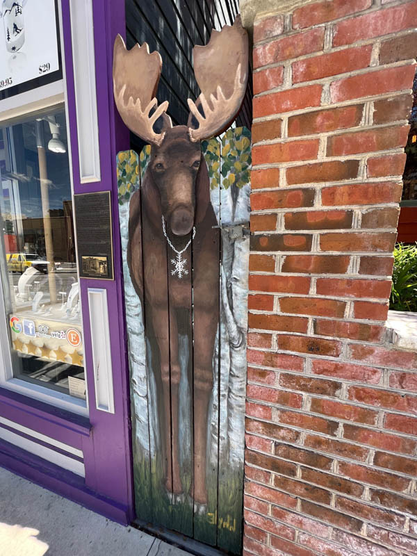 moose street art