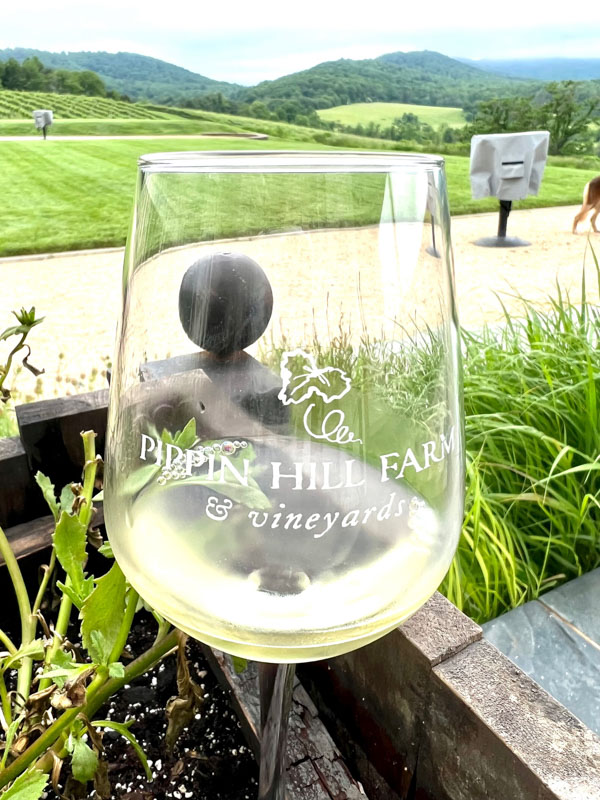 pippin hill glass