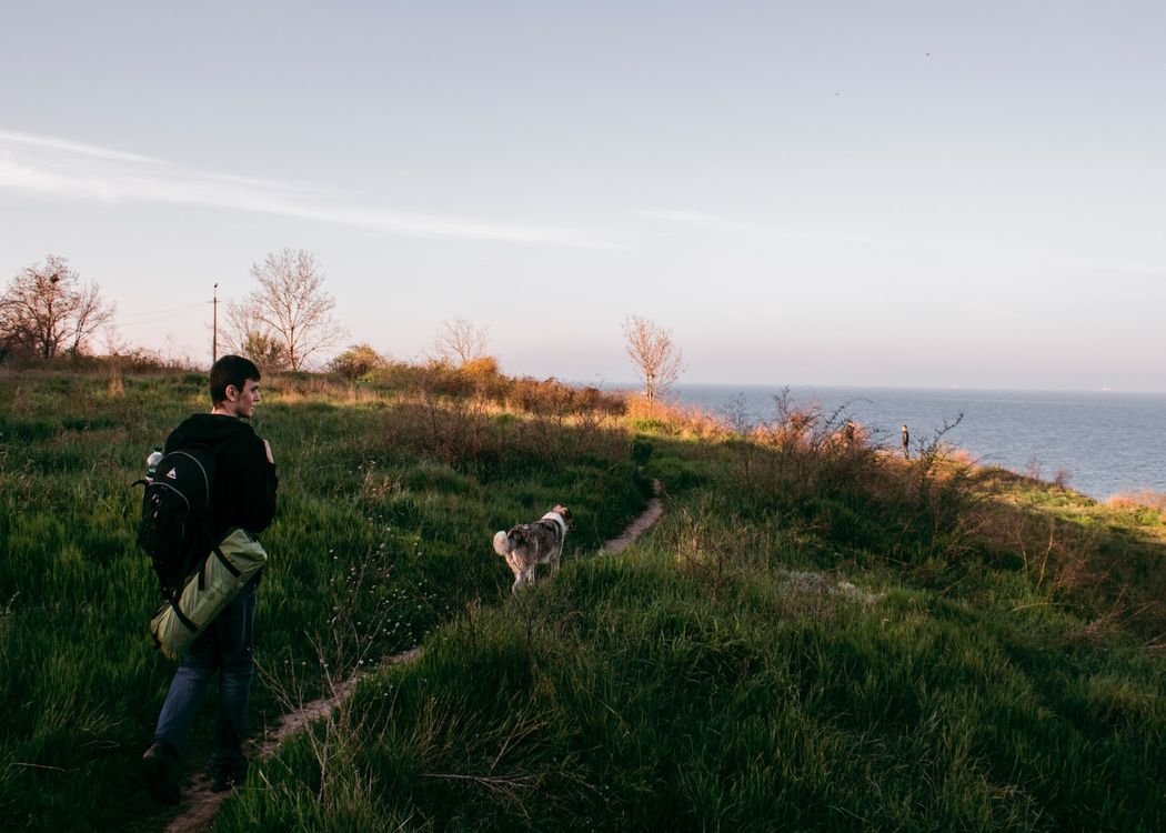 How To Travel the World With a Dog (2022) | 10 Things To Know 1 how to travel around the world with a dog