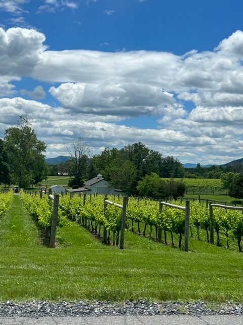 15 Wineries in Charlottesville Va (2022) You'll Love I Monticello Wine Trail 44 veritas vineyards