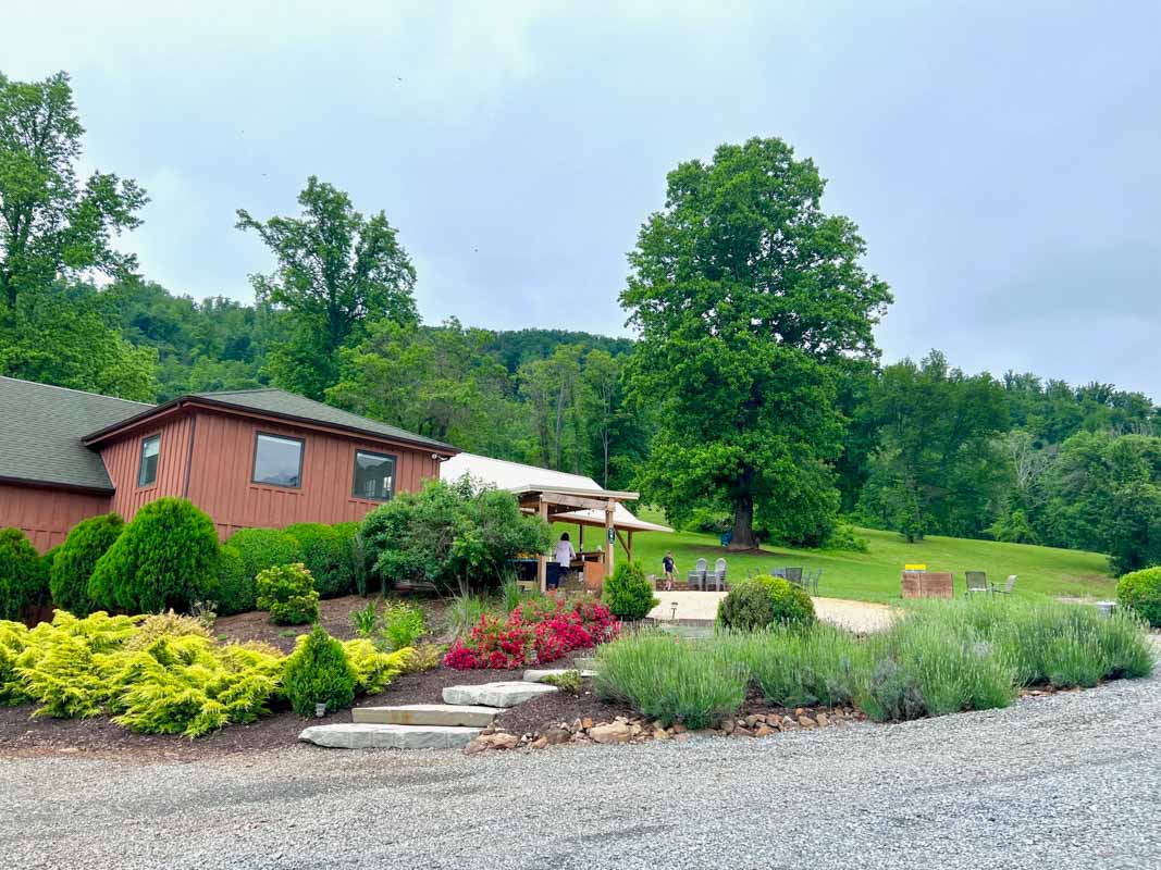 15 Wineries in Charlottesville Va (2022) You'll Love I Monticello Wine Trail 19 wisdom oak winery