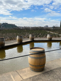 Roda winery water rioja wineries