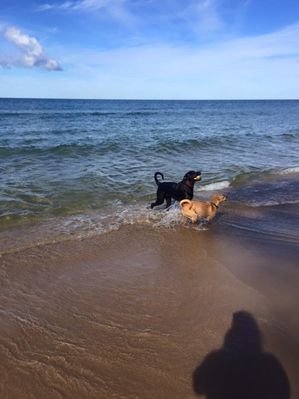 11 Marvellous Beaches in Montauk, Long Island (2022) You’ll Love 15 kirk park beach