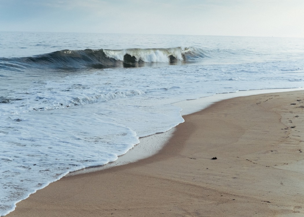 11 Marvellous Beaches in Montauk, Long Island (2022) You’ll Love 7 montauk-long-island-beaches-amsterdam-beach