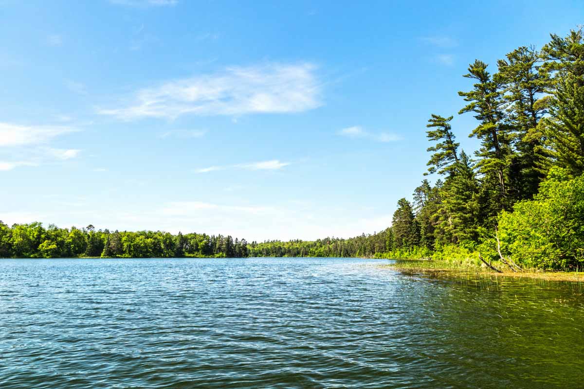 15 Clear Lakes in USA (2022) You'll Love 16 Deer Lake, Minnesota