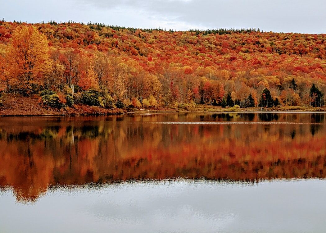 33 Most Beautiful Towns in America (2022) You’ll Fall in Love With 13 davis-west-virginia